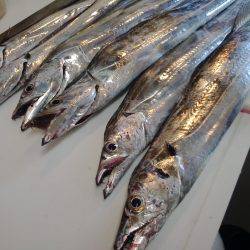 今年最初の釣り