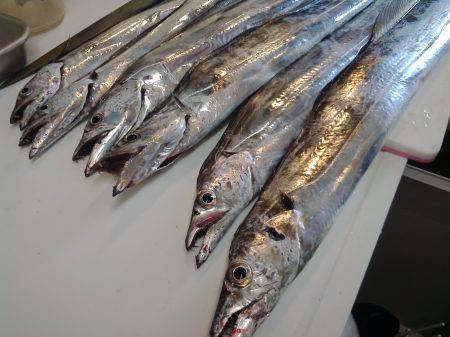 今年最初の釣り