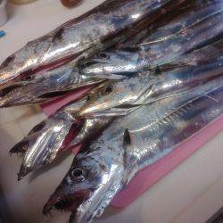 裏切らないポイント