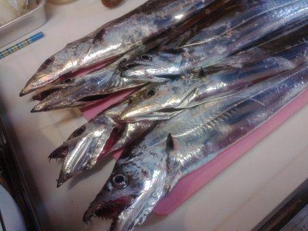 裏切らないポイント