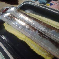 さくっと夕マズメ