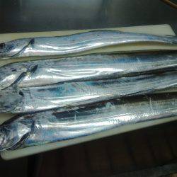 仕事前にいつもポイント