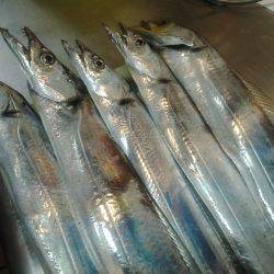 いつものポイント