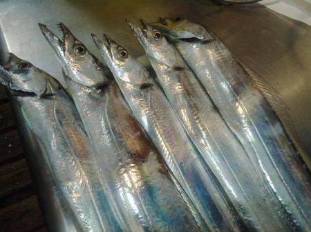 いつものポイント