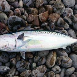 煙樹ヶ浜へ初遠征