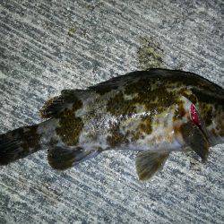 今年もイイ感じのスタートです♪