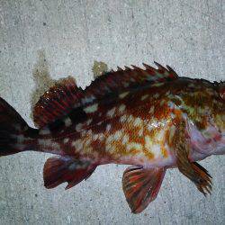 短時間でしたが！