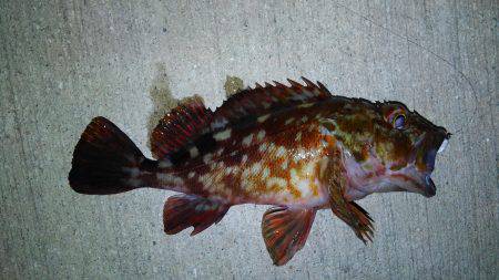 短時間でしたが！