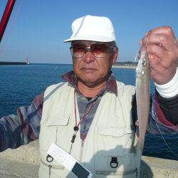 ２０１６初釣行も都志漁港へ