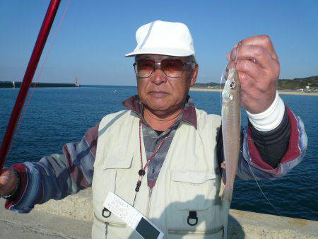 ２０１６初釣行も都志漁港へ