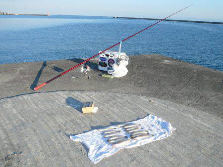志筑川護岸でキス狙い