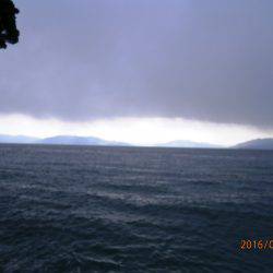 懲りずにシャクって来ました。