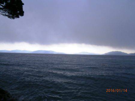 懲りずにシャクって来ました。