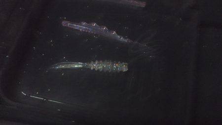 モーニング小眼張