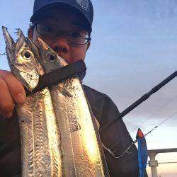 西風やや強 タチウオ!