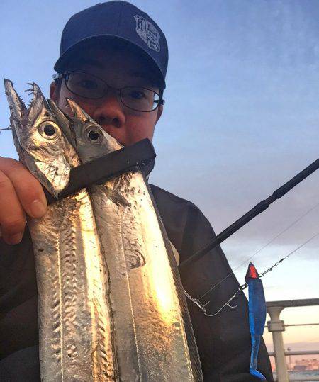 西風やや強 タチウオ!