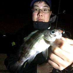 アジ?メバル?どっちつかず