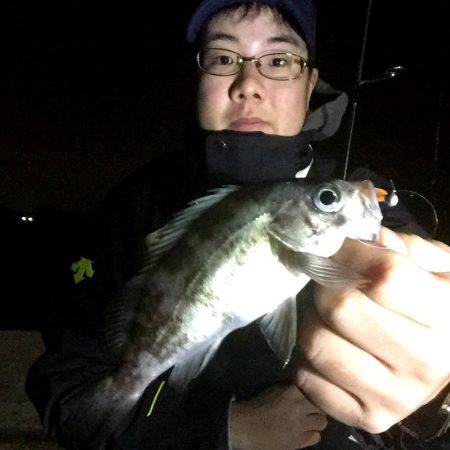 アジ?メバル?どっちつかず