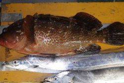 記録更新とビックリ