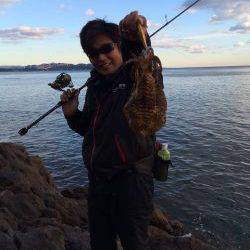 アオリはまだいる！