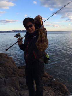 アオリはまだいる！