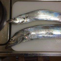 朝練してきました