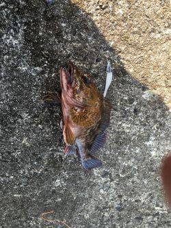 今年もよろしくお願いします