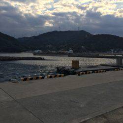 カゴでホウボウゲット