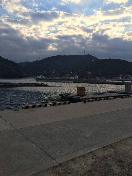 カゴでホウボウゲット