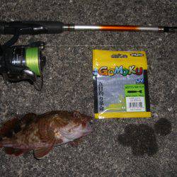 たまや渡船の半夜便でロックフィシュV(^_^)V