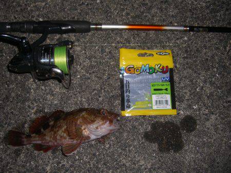 たまや渡船の半夜便でロックフィシュV(^_^)V