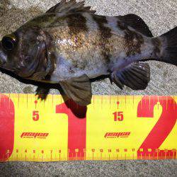 イベントに参戦!