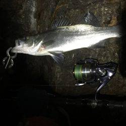 結果オーライ(^_^;)