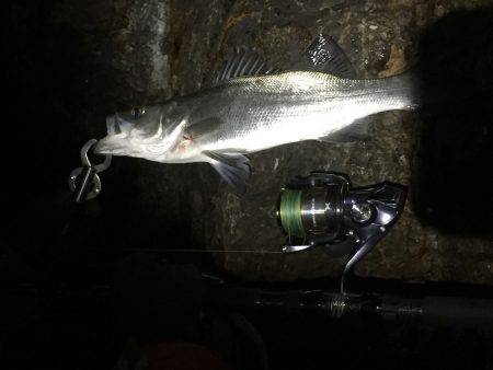 結果オーライ(^_^;)