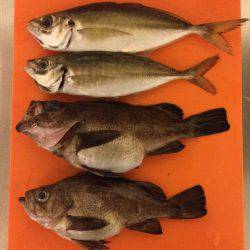 倶楽部通信 16年釣り始め