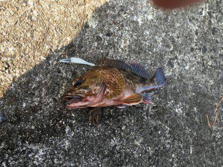 今年もよろしくお願いします