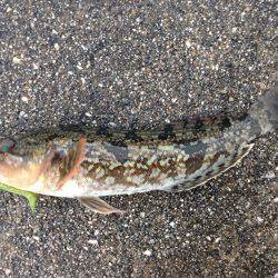 寒くても釣りはできる！