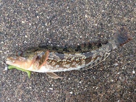 寒くても釣りはできる！