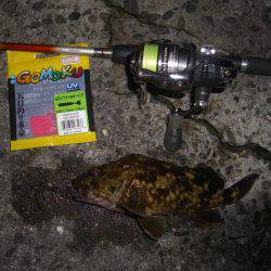 サイズUP目指して