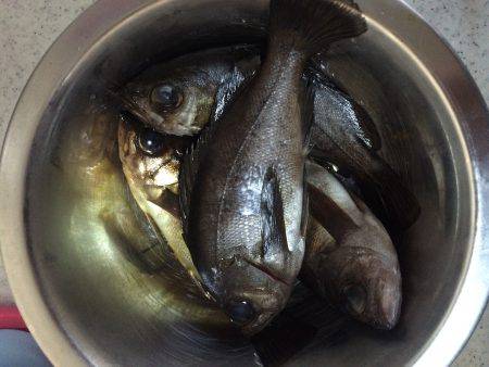 伊根メバリング part1