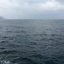 今年になって初めてのショアジギング