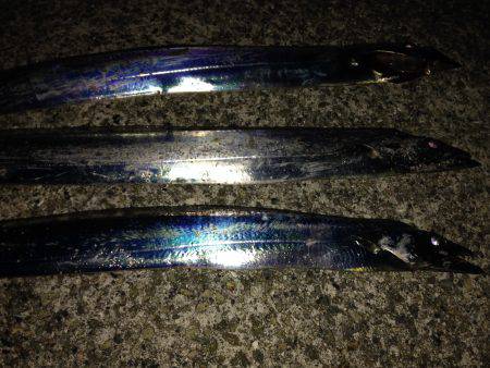 あけましておめでとうございます