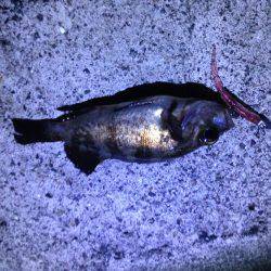 気になるポイントへ。