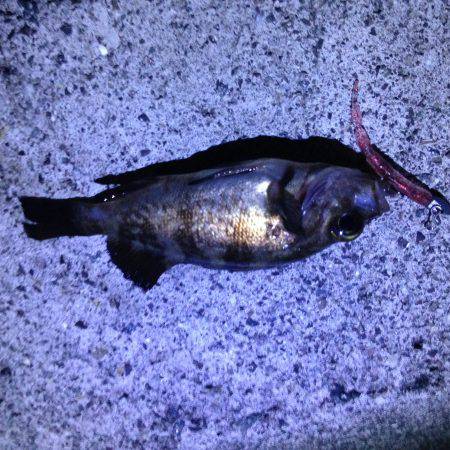 気になるポイントへ。