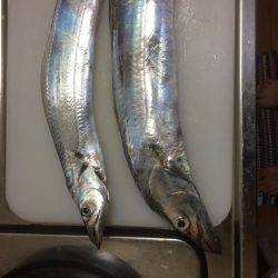 朝練してきました