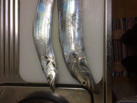 朝練してきました