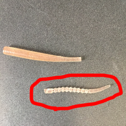 新年初釣り パターン探し