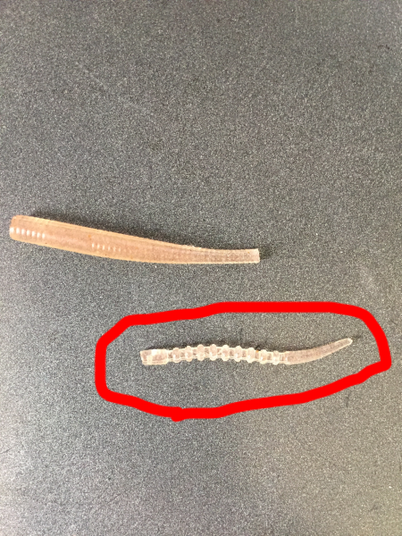 新年初釣り パターン探し