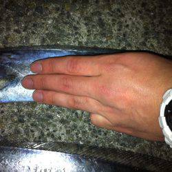 2016年初釣り‼︎