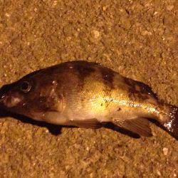 ランガンメバリング!